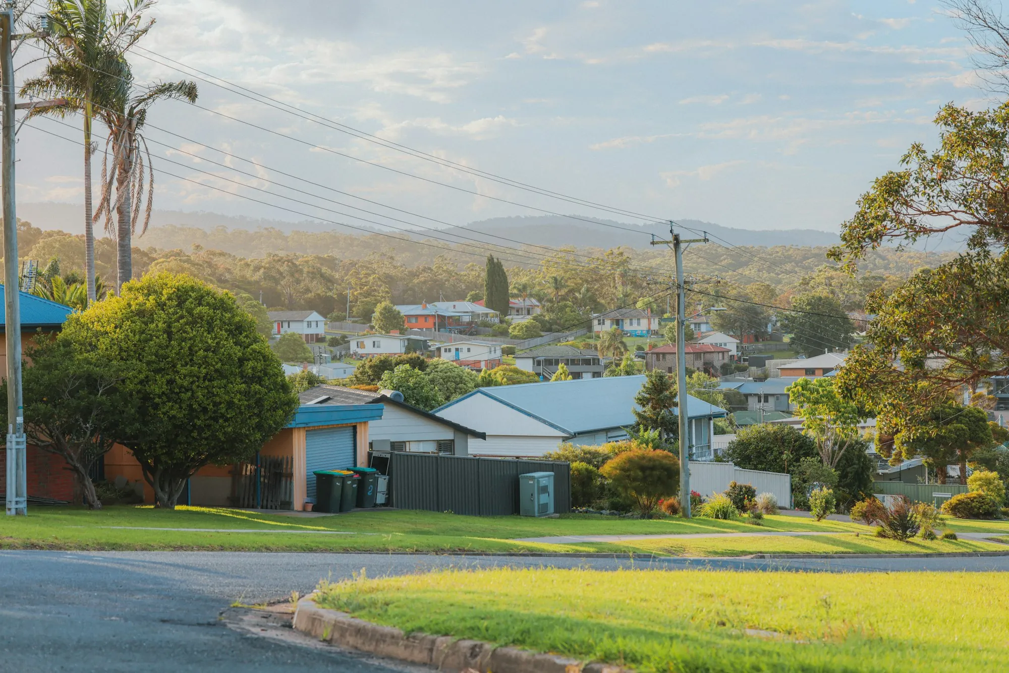 A suburban neighbourhood of houses and trees at sunset