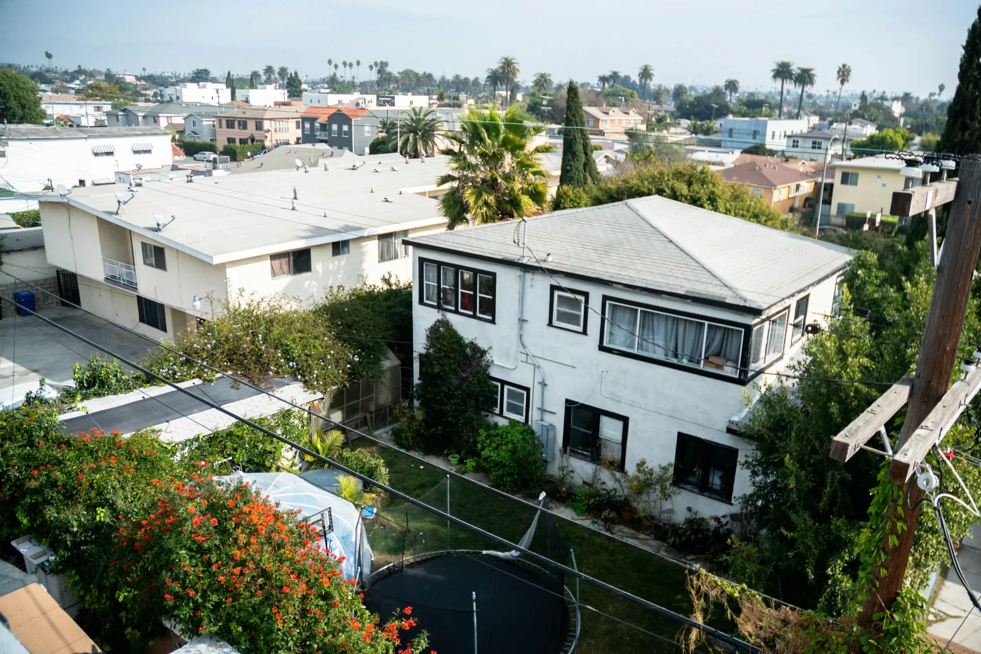 Two-storey houses behind mature gardens